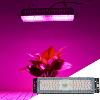 Warmhouse LED Augu Lampas Pilna Spektra 220V 60W SMD2835 Čipu Fito Gaismas, Augu, Puķu Sēšana Augt gaismas Karājas Komplekts