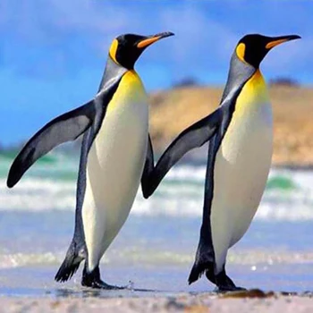 5D Dimanta Krāsošana Pingvīni Pilnu Kvadrātveida, Apaļas Mozaīkas Dimanta Izšuvumi Dzīvnieku Attēlu Rhinestones ziemassvētku rotājumi