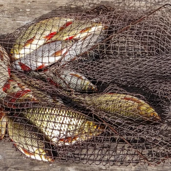 Automātiskā Zvejas tīklu Krabju Zivju Lamatas Garneļu ASV Stila Roku Čuguna Tīkla Ķērāja Kompresijas Izturība Āra Zvejas