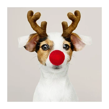LZAIQIZG 5D Dimanta Krāsošana Pilnu Kvadrātveida/Apaļā Ziemassvētku Suns Dzīvnieku Dimanta Mozaīkas Izšuvumi Rhinestone Attēlu Mājas Apdare